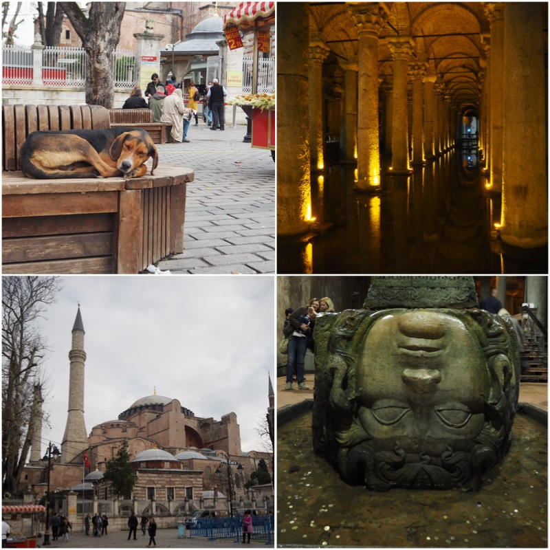 1. Toulavý pes. Jsou všude. 2. a 4. Cisterny - krása 3. Modrá mešita